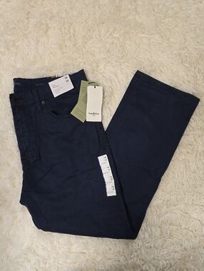 Goodfellow & Co Men’s Navy Chino Pants